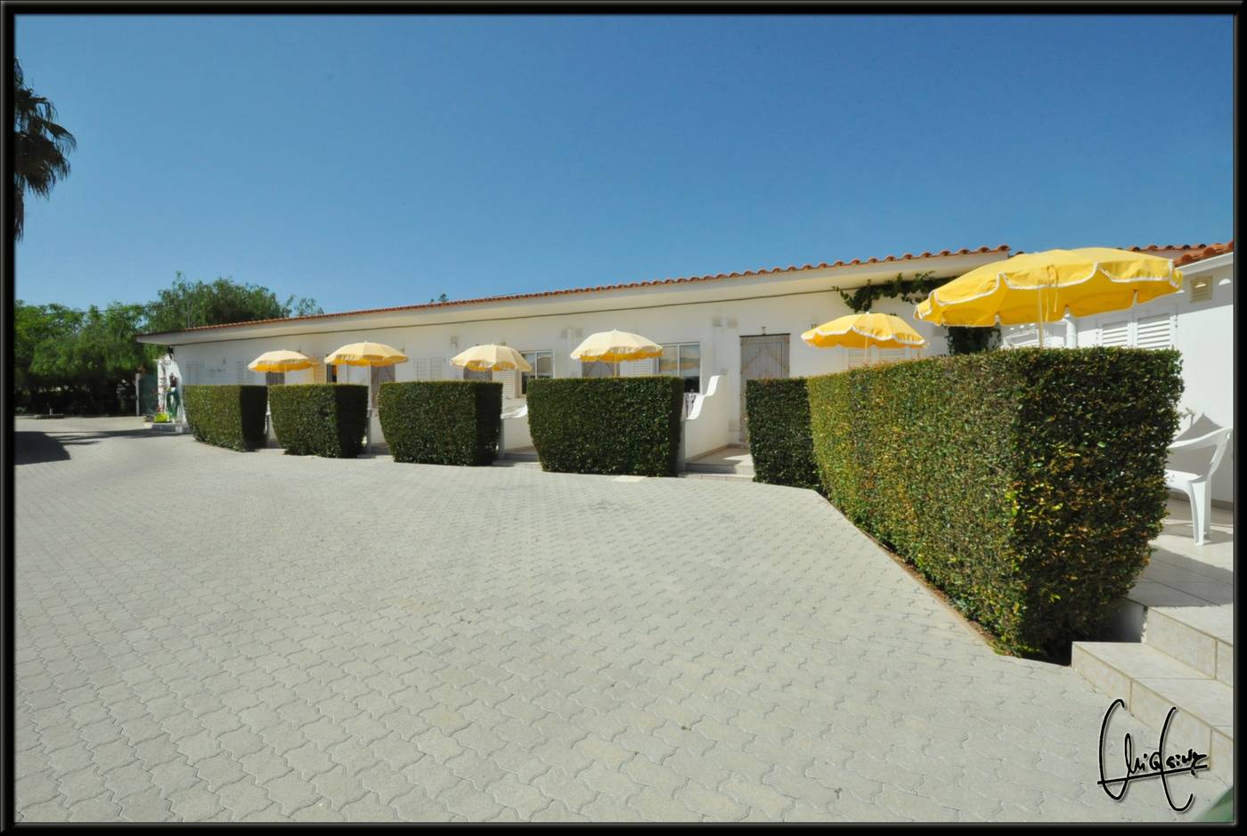 Flor-Da-Laranja-Room-22