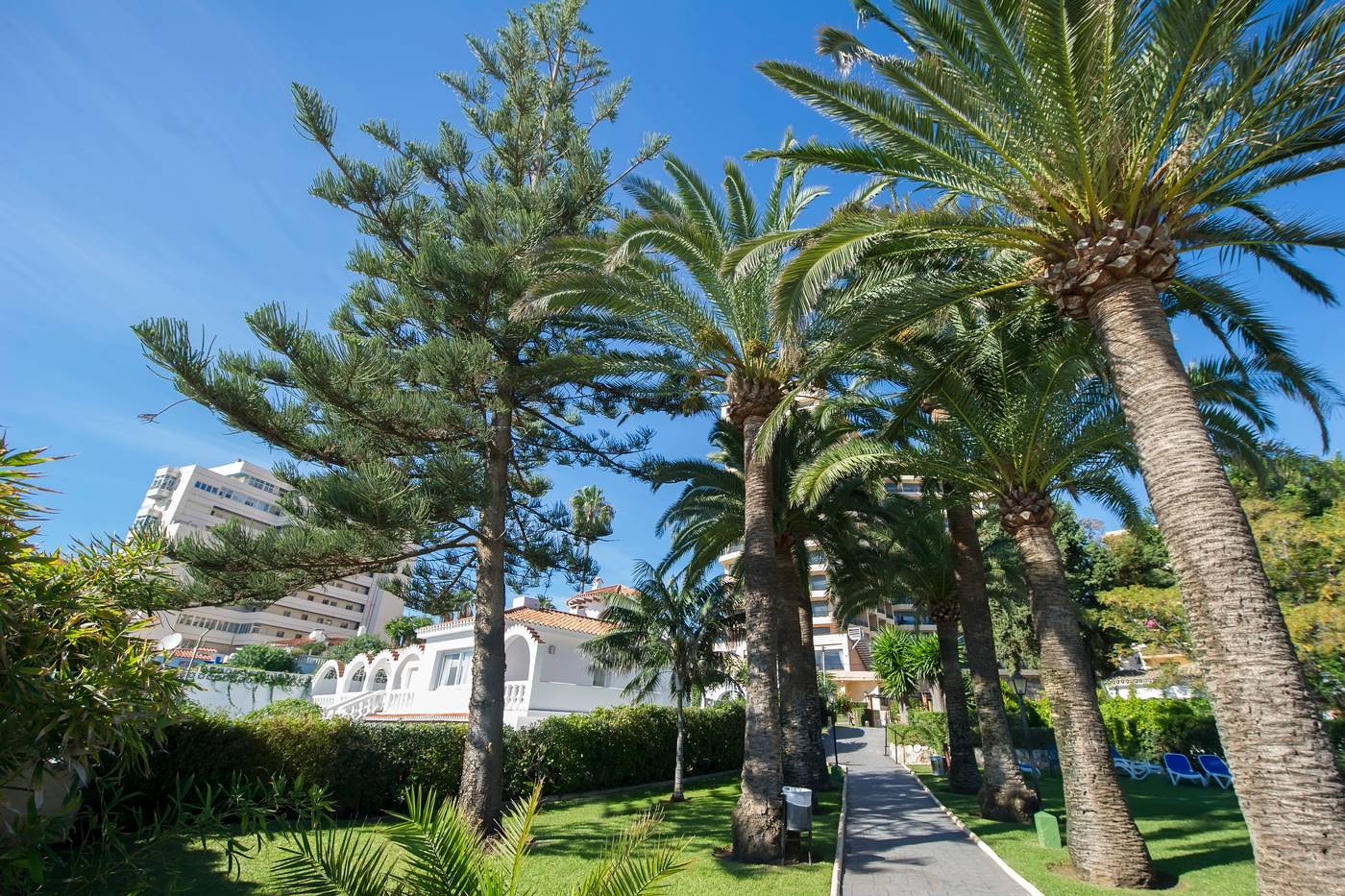 Globales-Gardenia-General-view-5