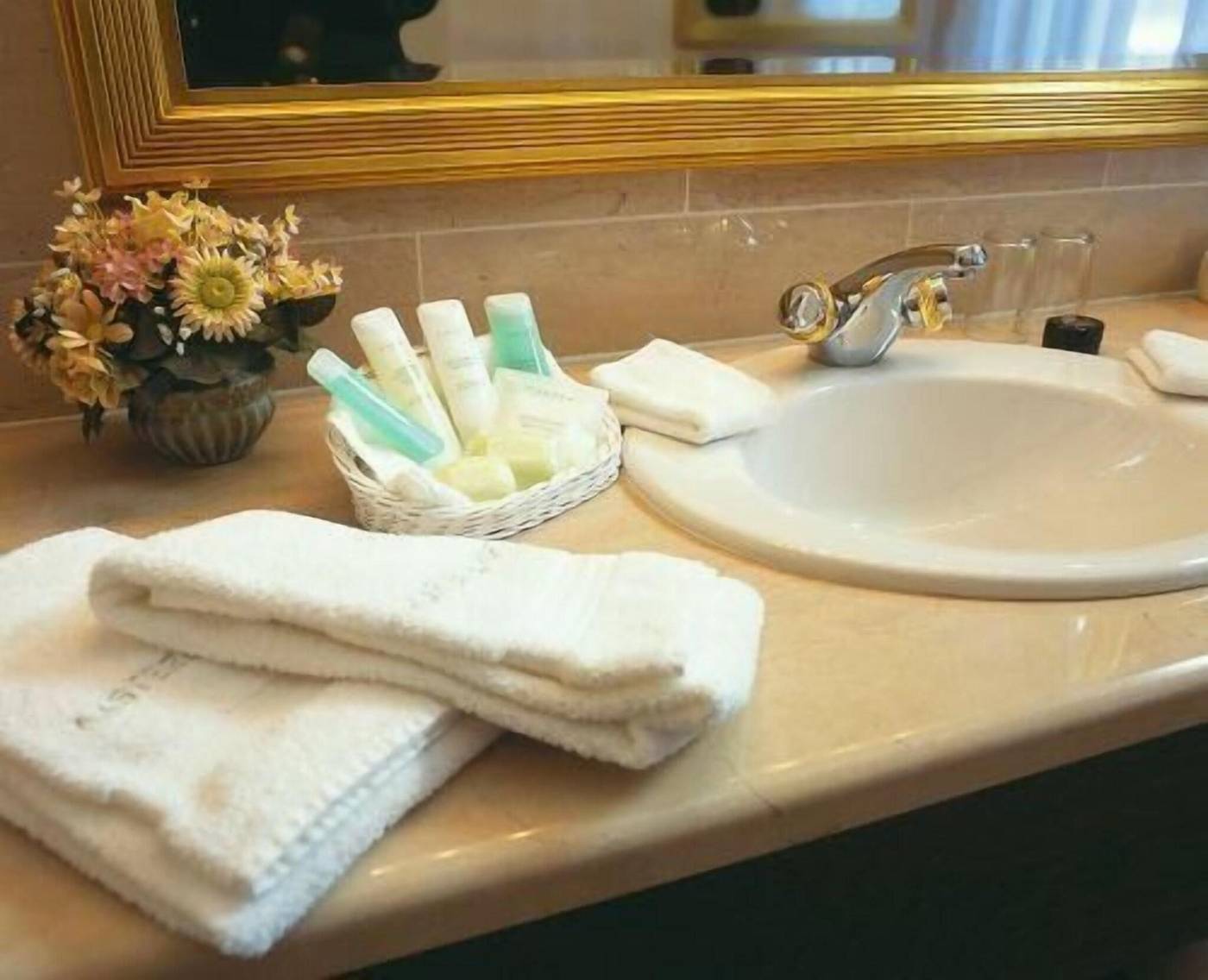 Kasteel Solhof-Belgium-AARTSELAAR -General view-2