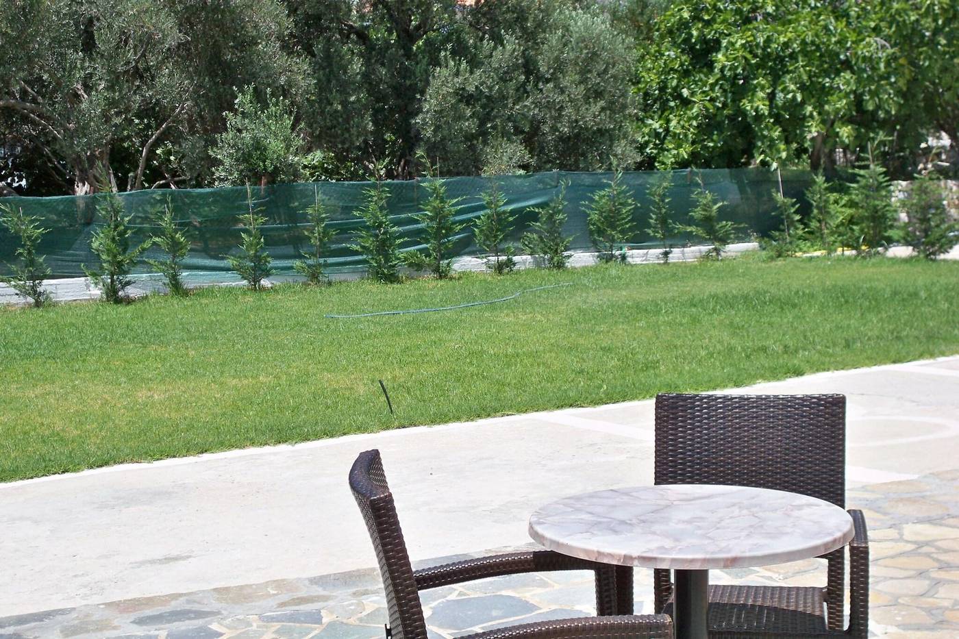 Aphrodite-Sports-and-Entertainment-23