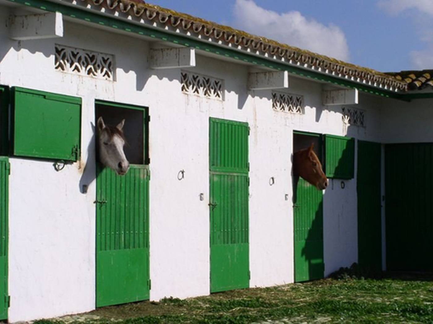 Cortijo Las Piñas
