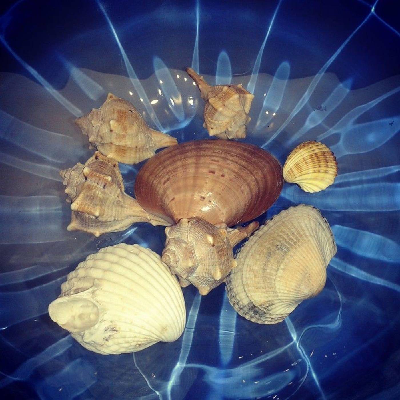 Hotel-Cristallo-General-view-13