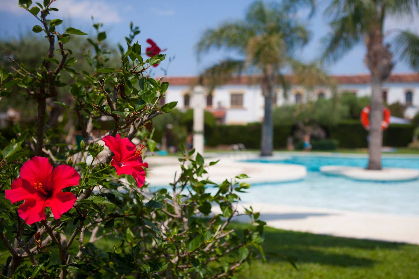 Villajardin-General-view-7