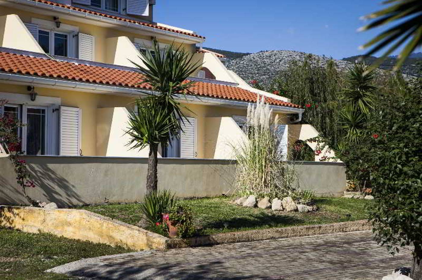 Pegasus-Studio-General-view-7