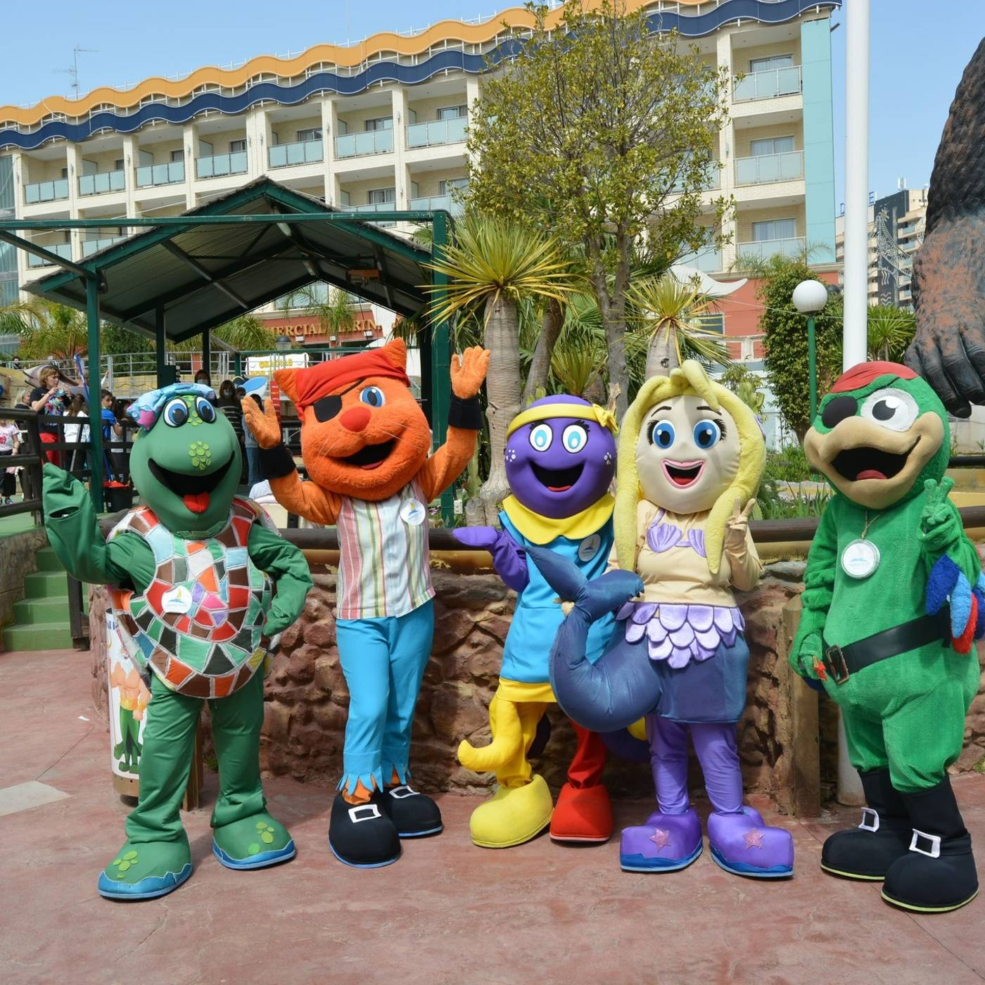 Magic Sports 02.04.25