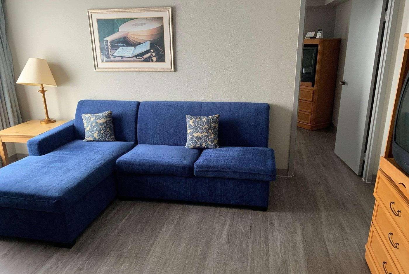 Ramada By Wyndham Nashville/Music Valley-United States-Nashville-Room-3