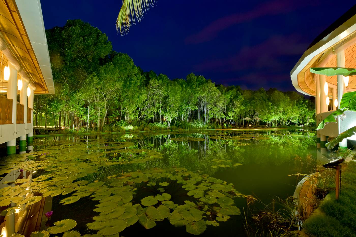 Dreamland Maldives 19.11