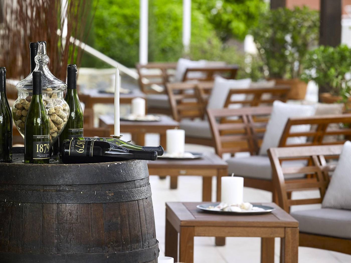 Albatros-General-view-33