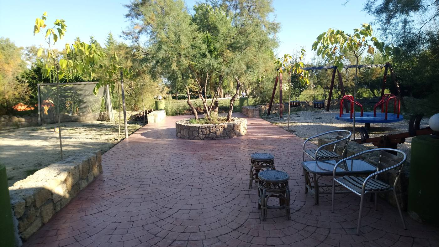 Zest---Xi-Beach-Sports-and-Entertainment-60