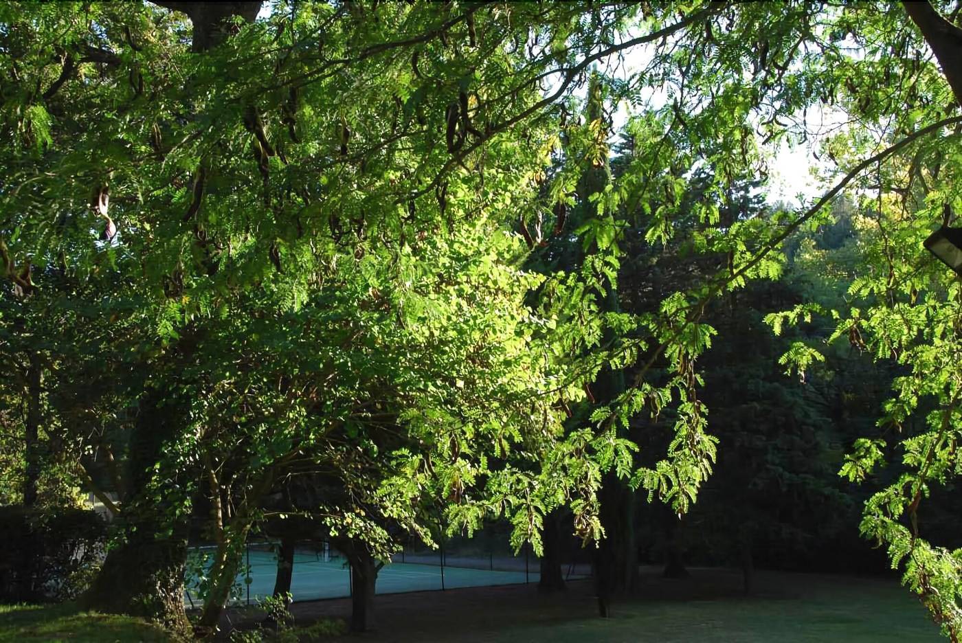 Domaine d'Auriac-France-CARCASSONNE-General view-4
