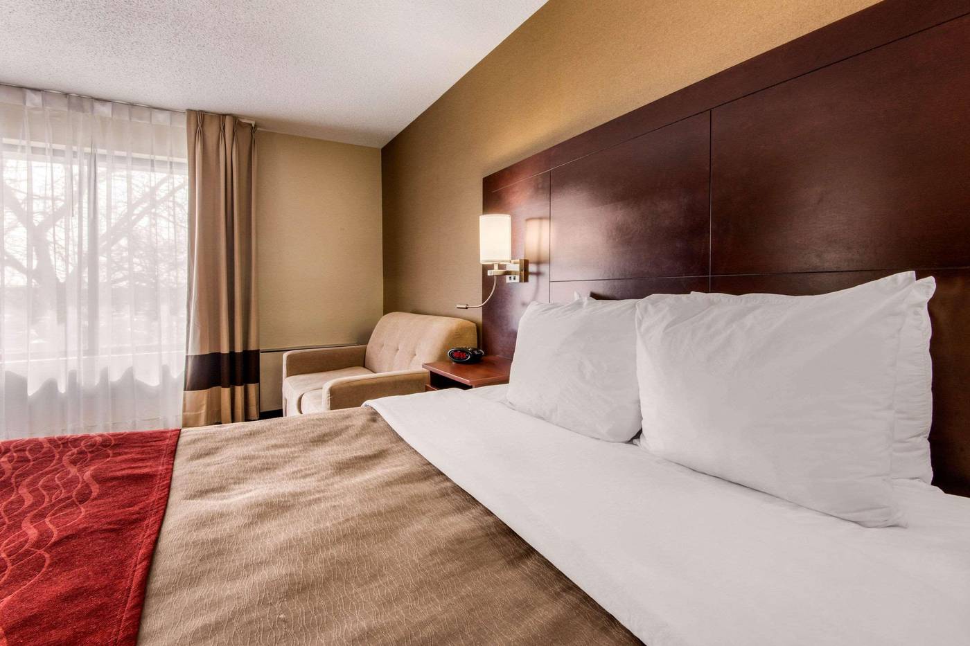 Comfort Inn Toronto Airport West-Canada-MISSISSAUGA-Room-9