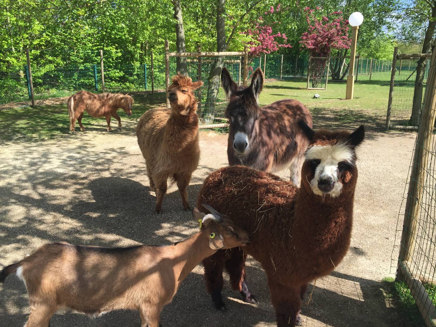 Campanile-Val-de-France-Ex-Kyriad-Disneyland-Sports-and-Entertainment-55