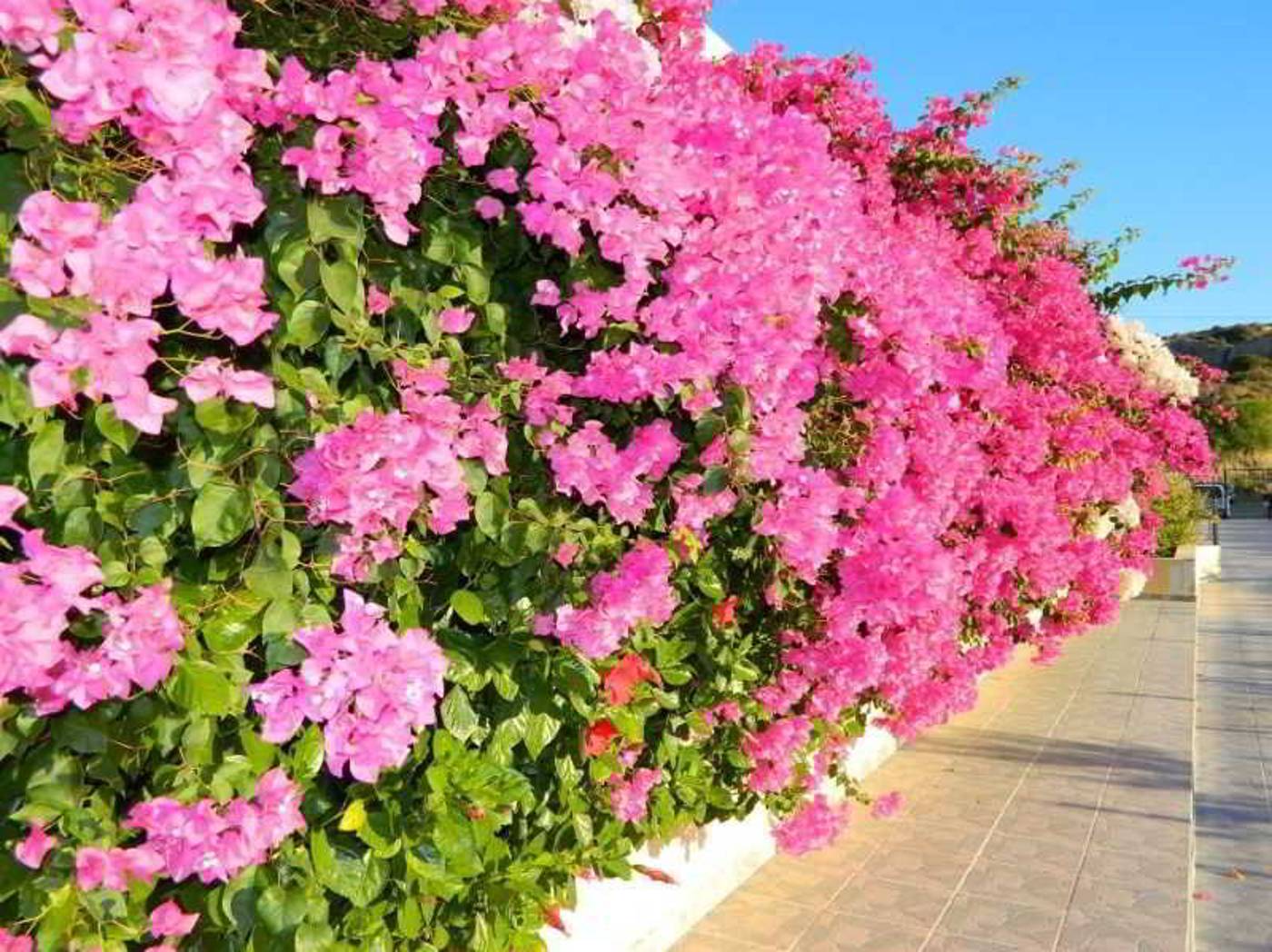 Telhinis-Hotel-Lobby-10