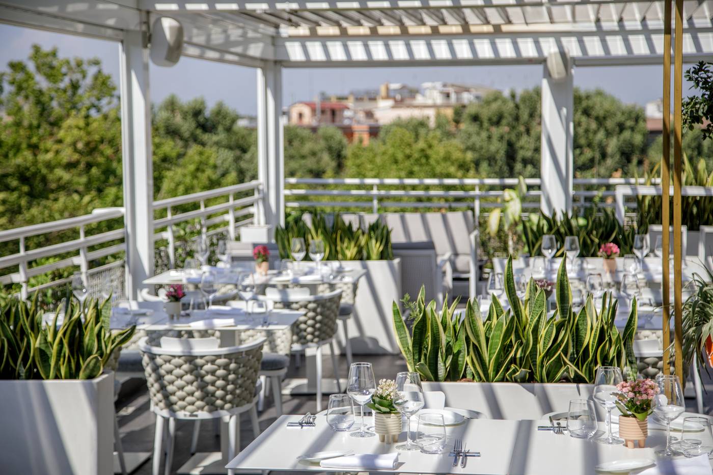 The-Tribune--Part-of-JDV-by-Hyatt-Terrace-46