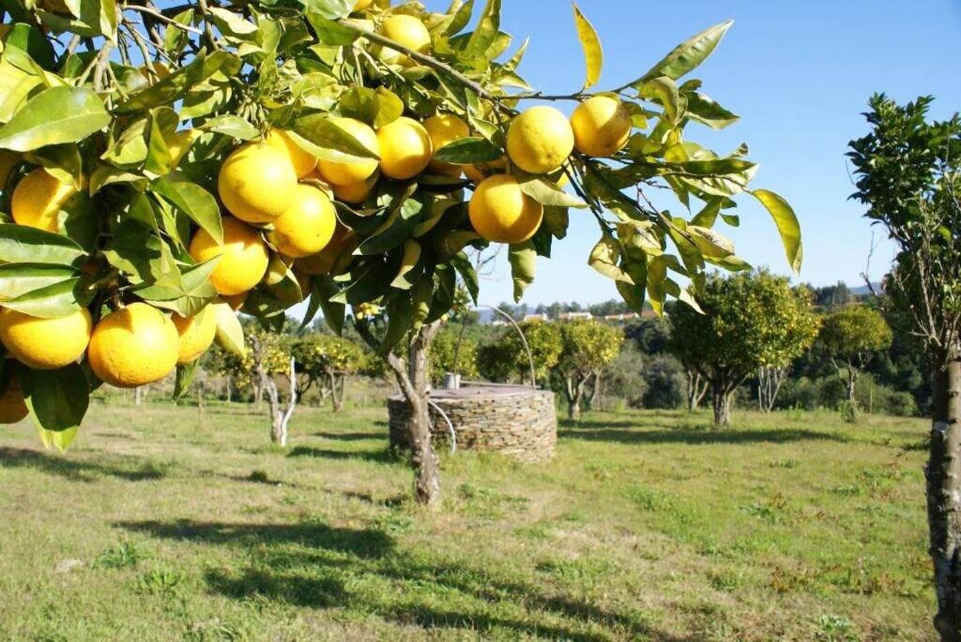 Herdade-Do-Freixial-Room-35