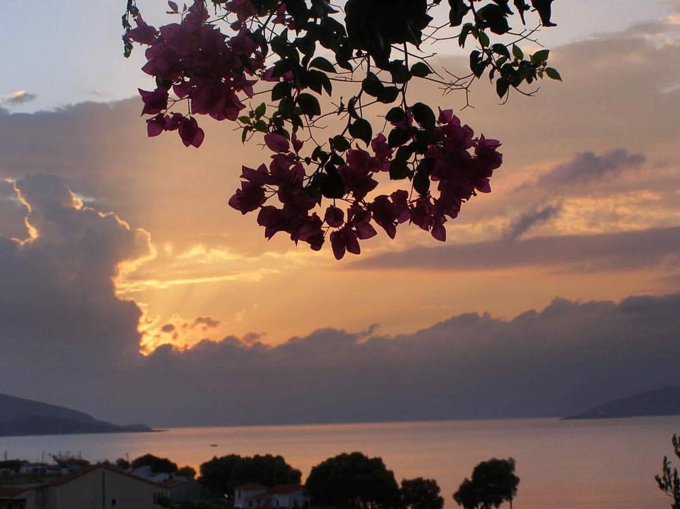 Anastasia-Village-General-view-63