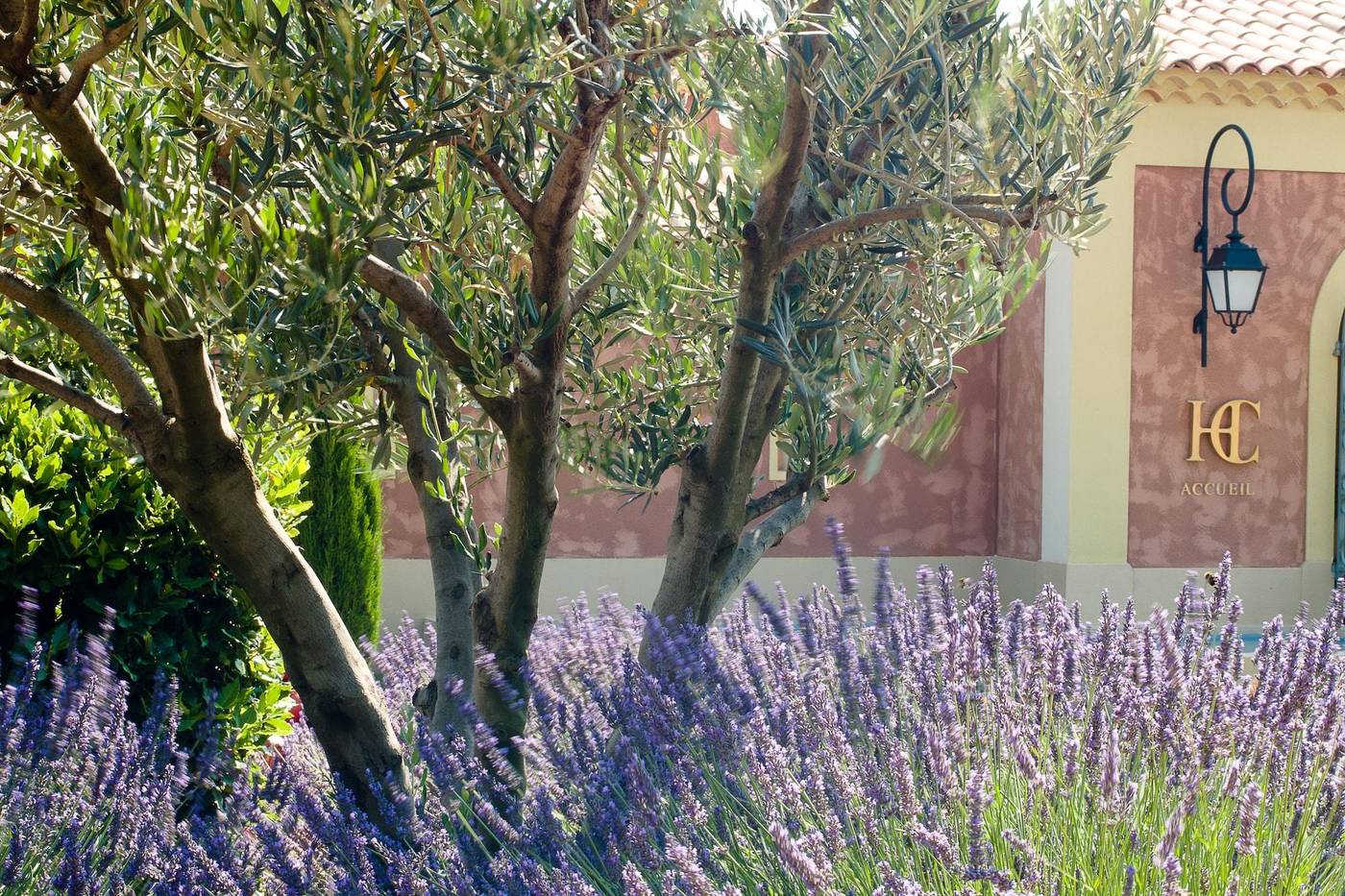 Hôtel Et Spa Du Castellet-France-Le Castellet-General view-4