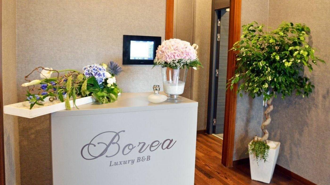 Borea-Luxury-B-B-Lobby-6