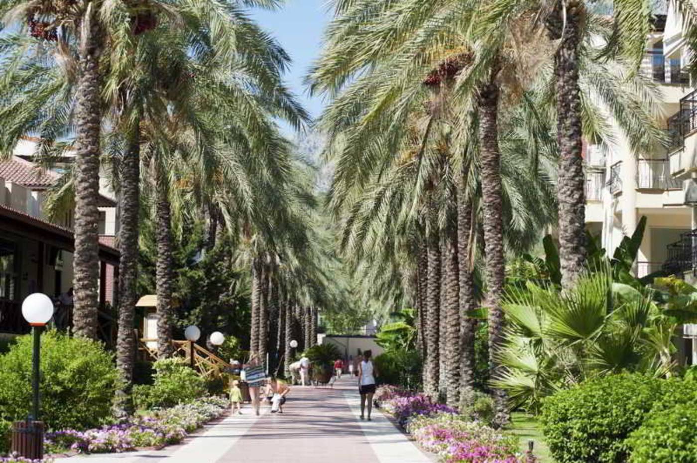 Crystal-Aura-Beach-Resort---Spa-Terrace-14