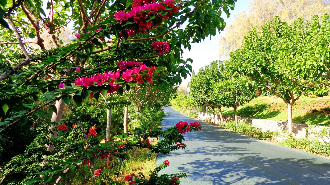 Grand Resort Lagonissi