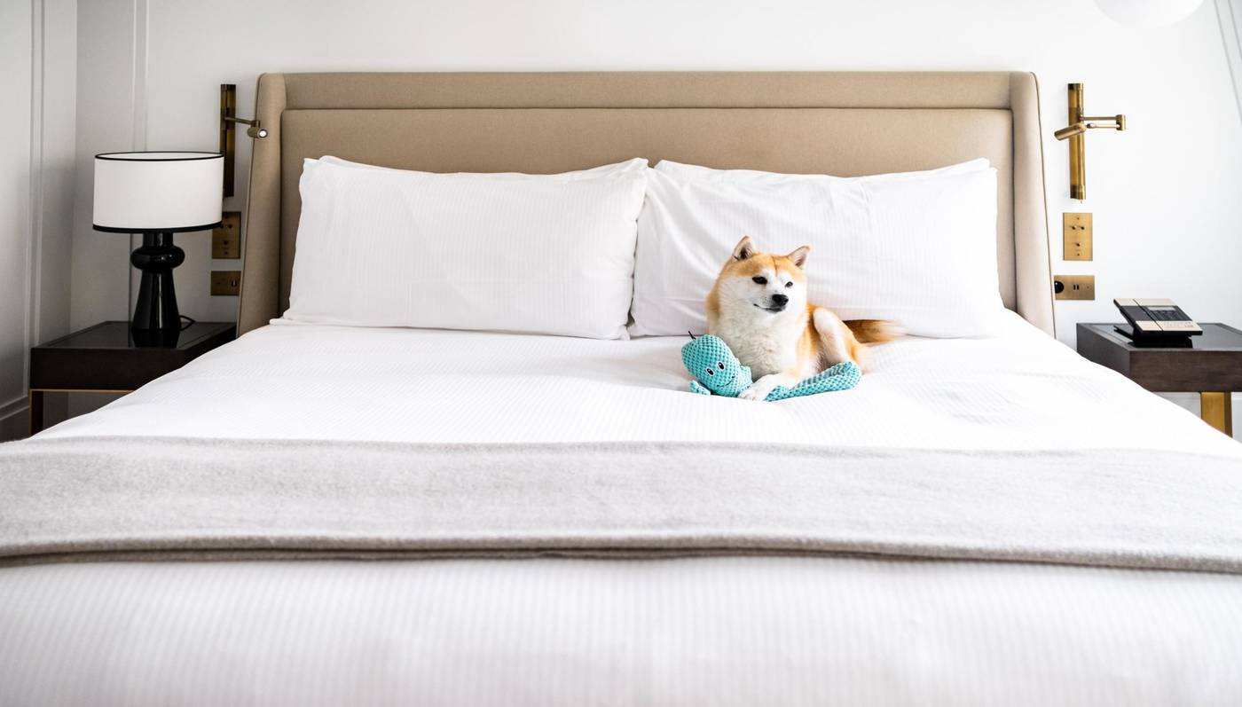 Kimpton-St-Honore-Paris-General-view-8