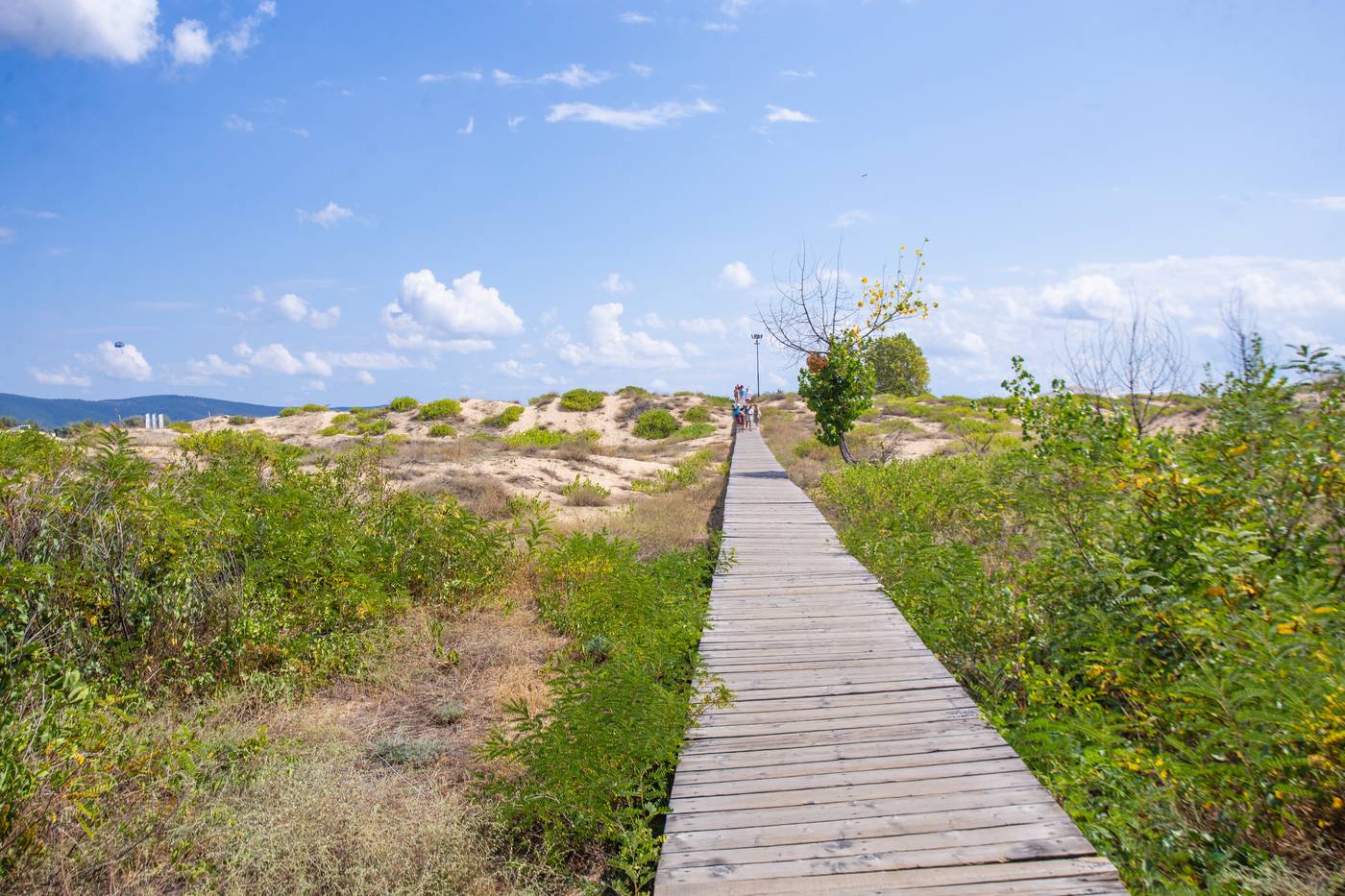 Amfibia-Beach-Complex-Beach-51