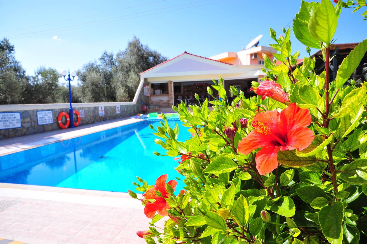 Argiro-Village-Pool-6