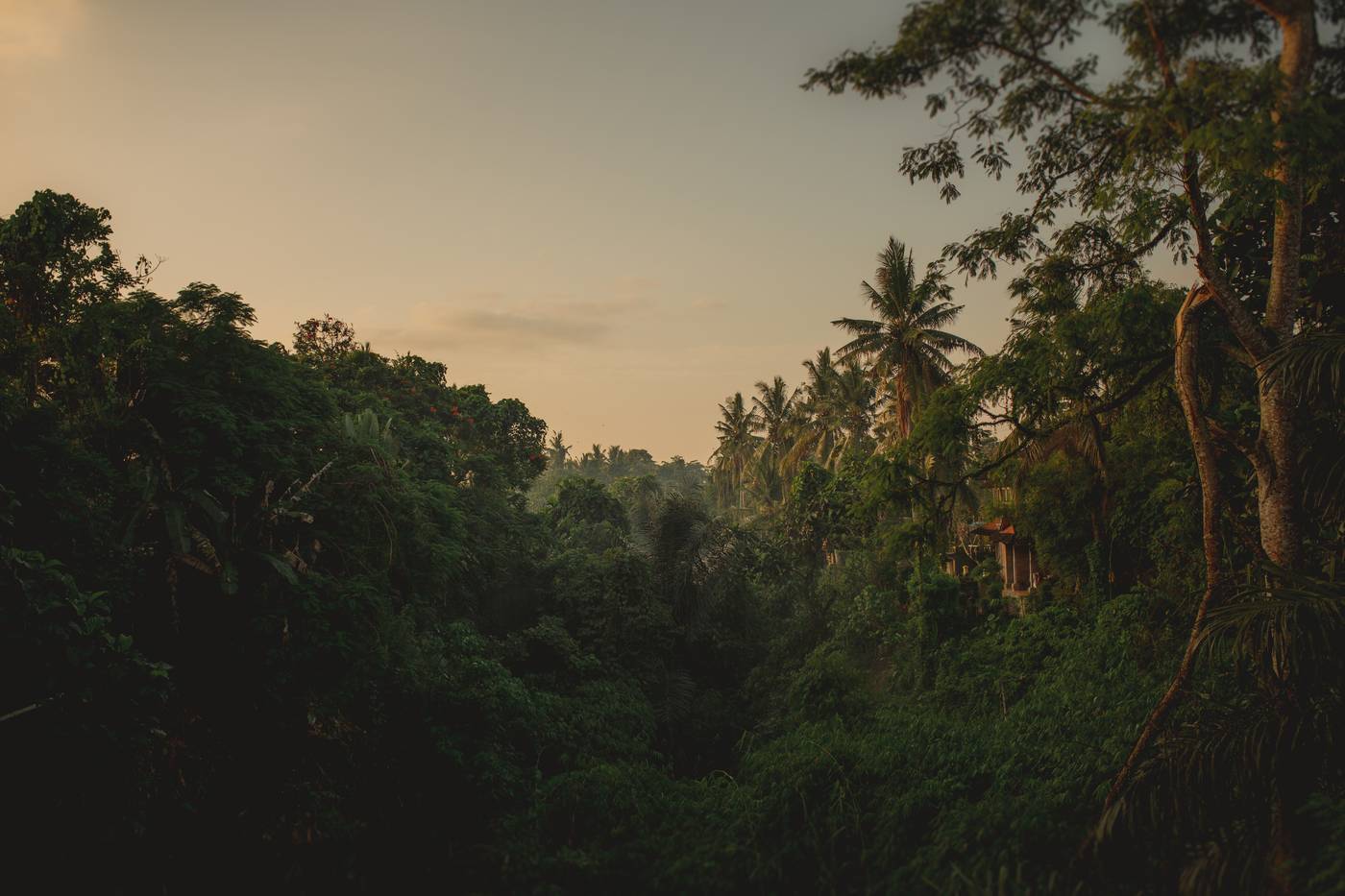 B.Saya-Indonesia-Bali-General view-7