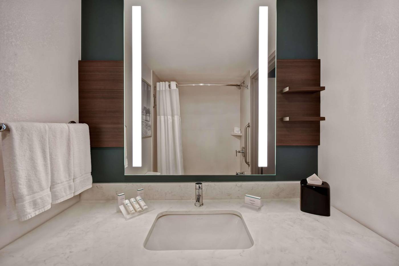 Hilton Garden Inn Houston/Galleria Area-United States-HOUSTON-Room-10