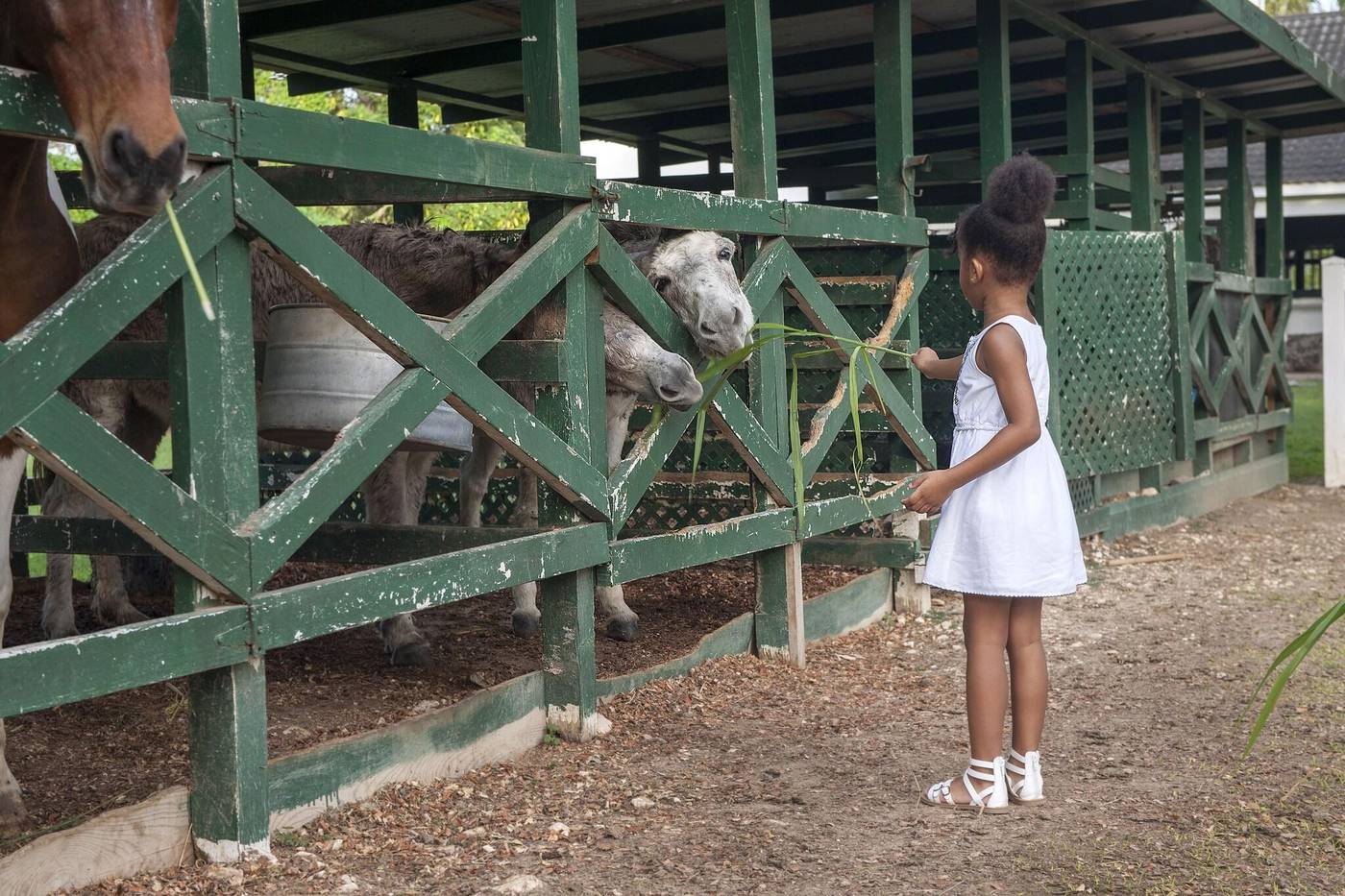 Half-Moon-Sports-and-Entertainment-75