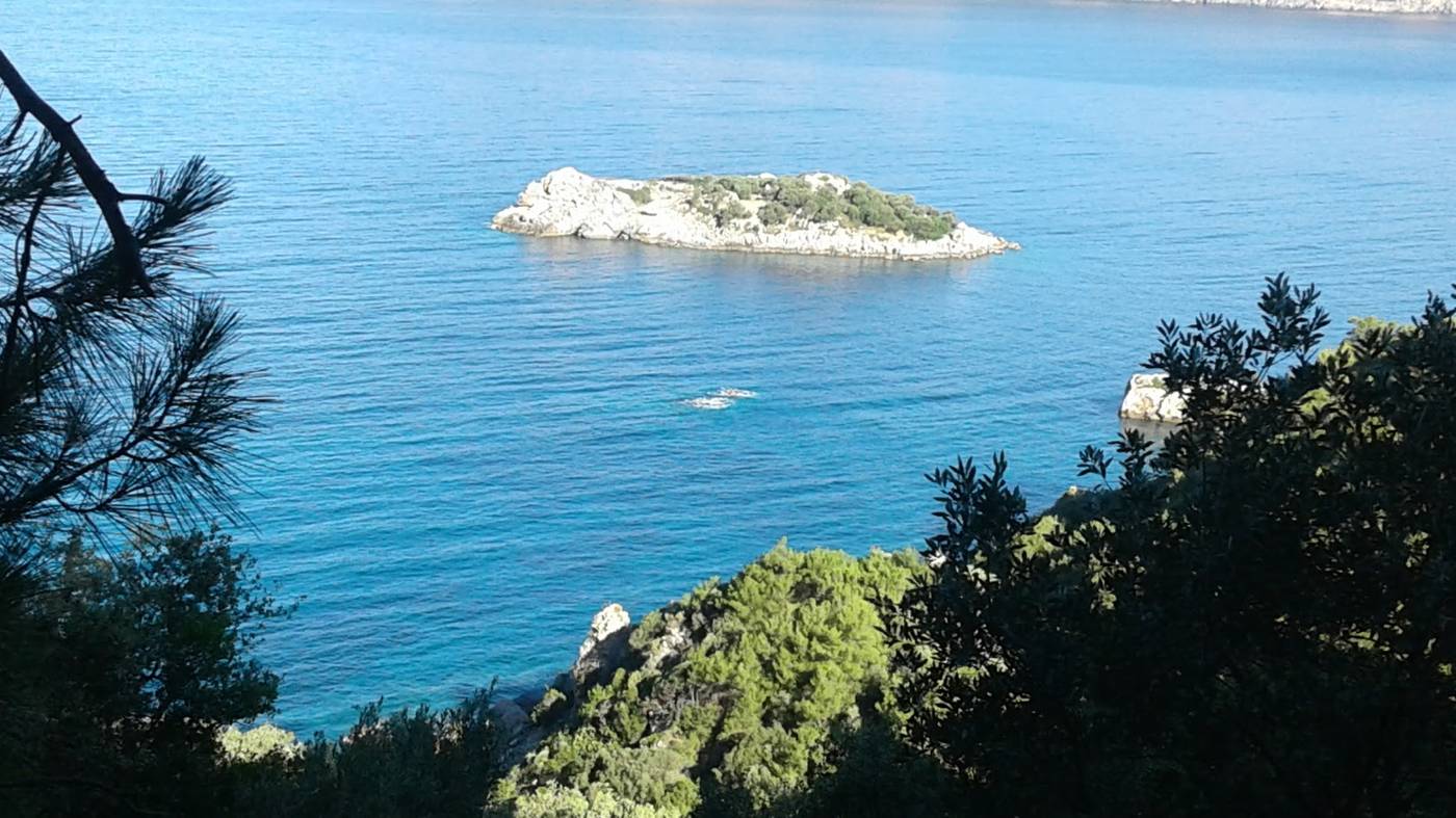 Dolphin-Apart-Beach-53