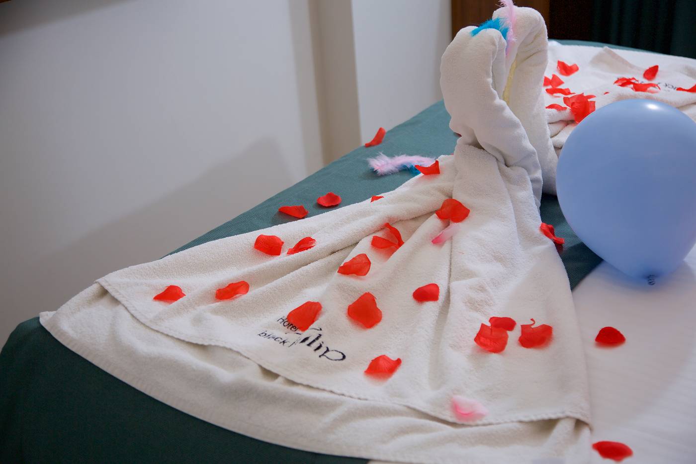 Hotel-Black-Tulip-Room-56