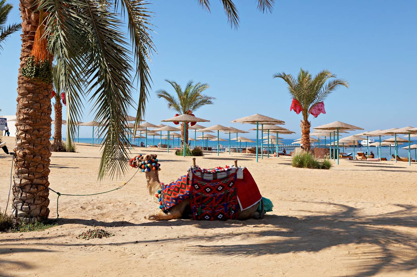 Three Corners Sunny Beach Resort