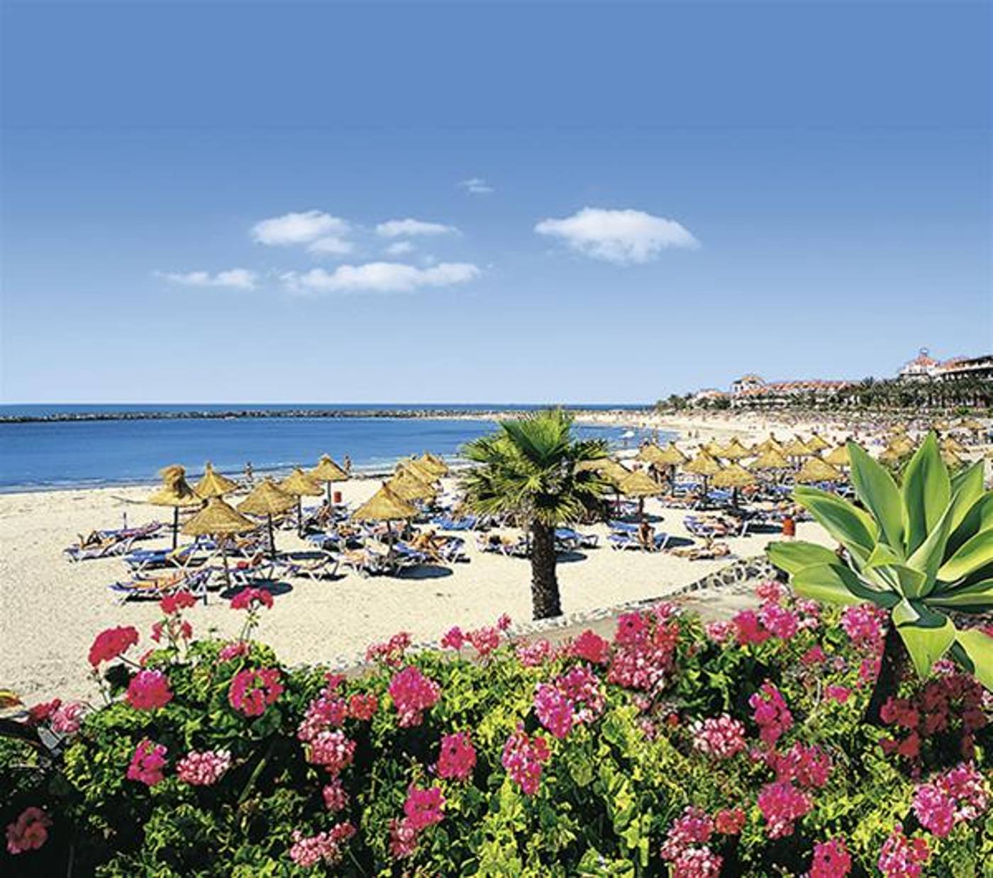 Los-Hibiscos-General-view-10