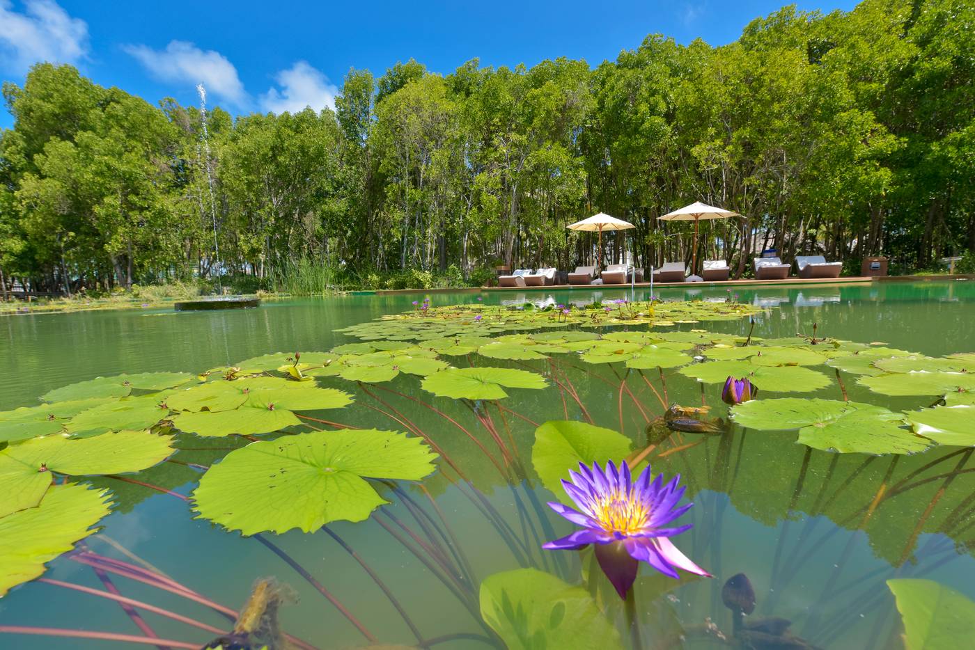 Dreamland Maldives 19.11