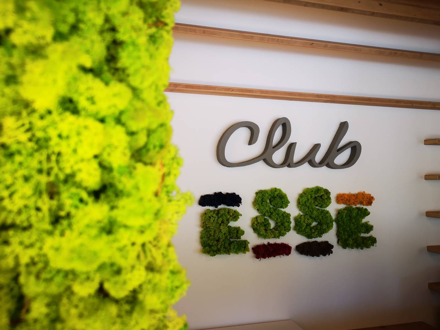 Club-Esse-Cala-Bitta-Lobby-24