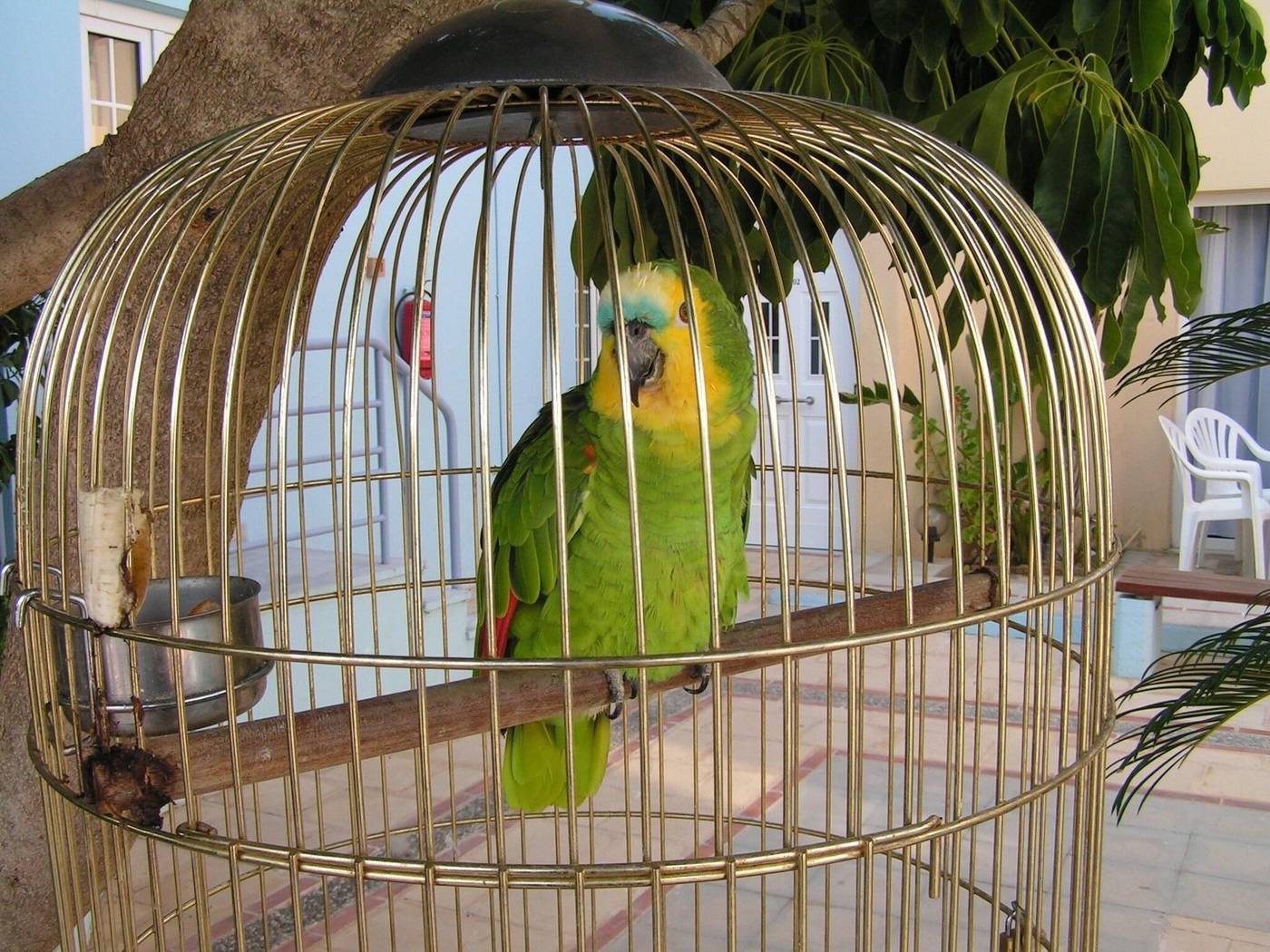 Futura-General-view-68