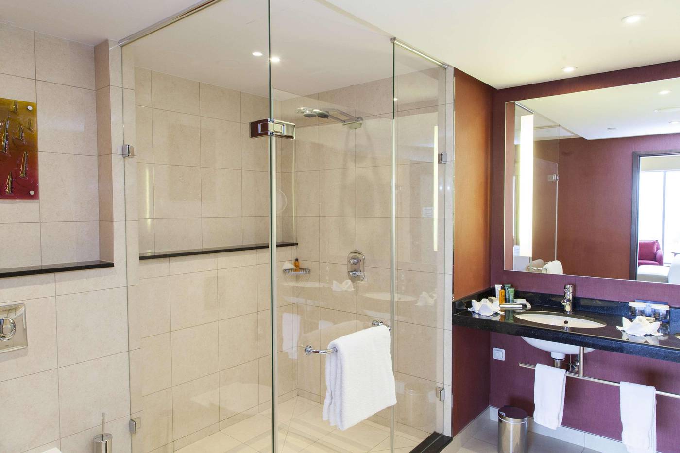 Hilton-Warsaw-City-Room-43