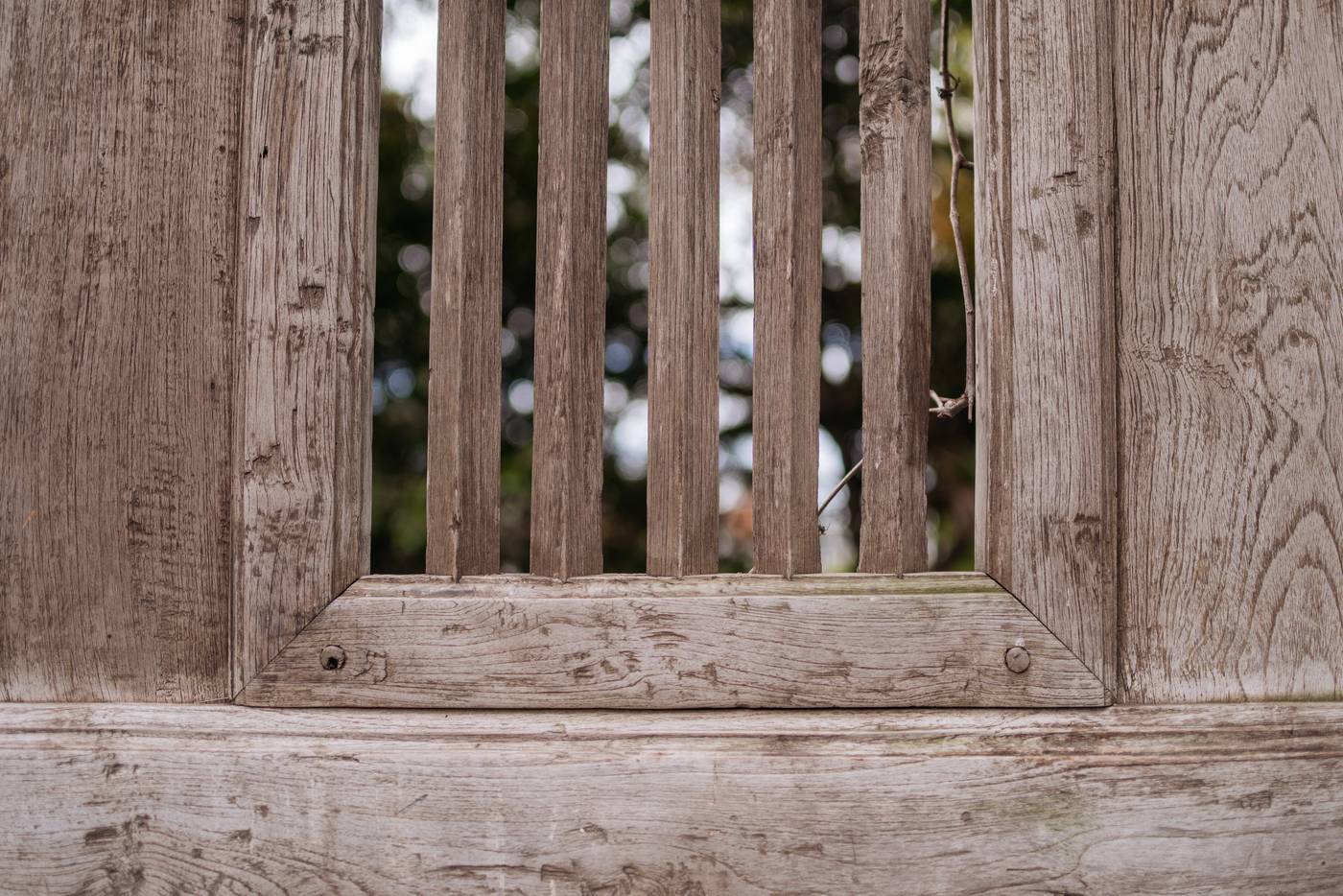 The-Tree-House-Boutique-Hotel-General-view-9