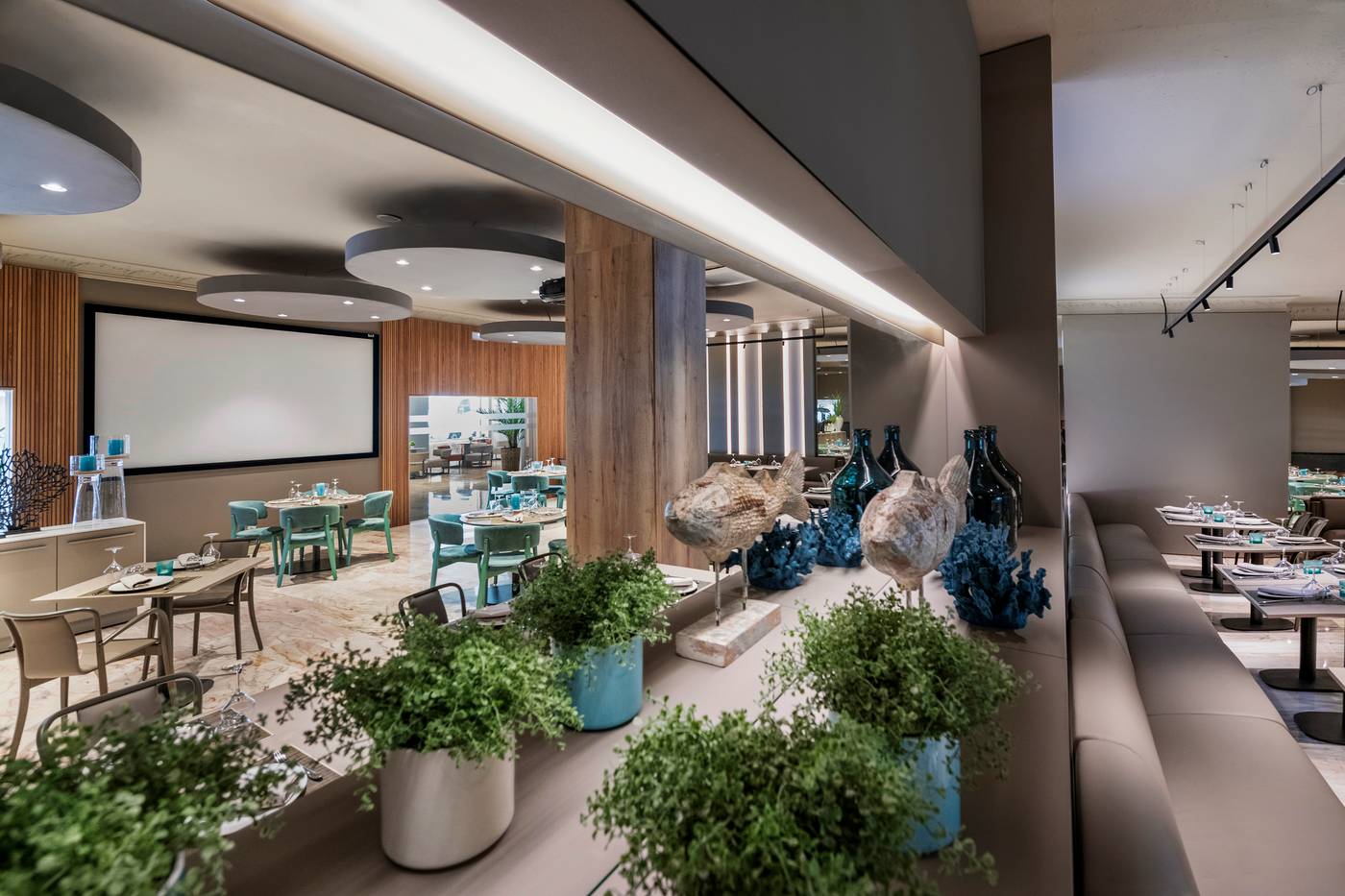 Salles-Malaga-Centro-Restaurant-50