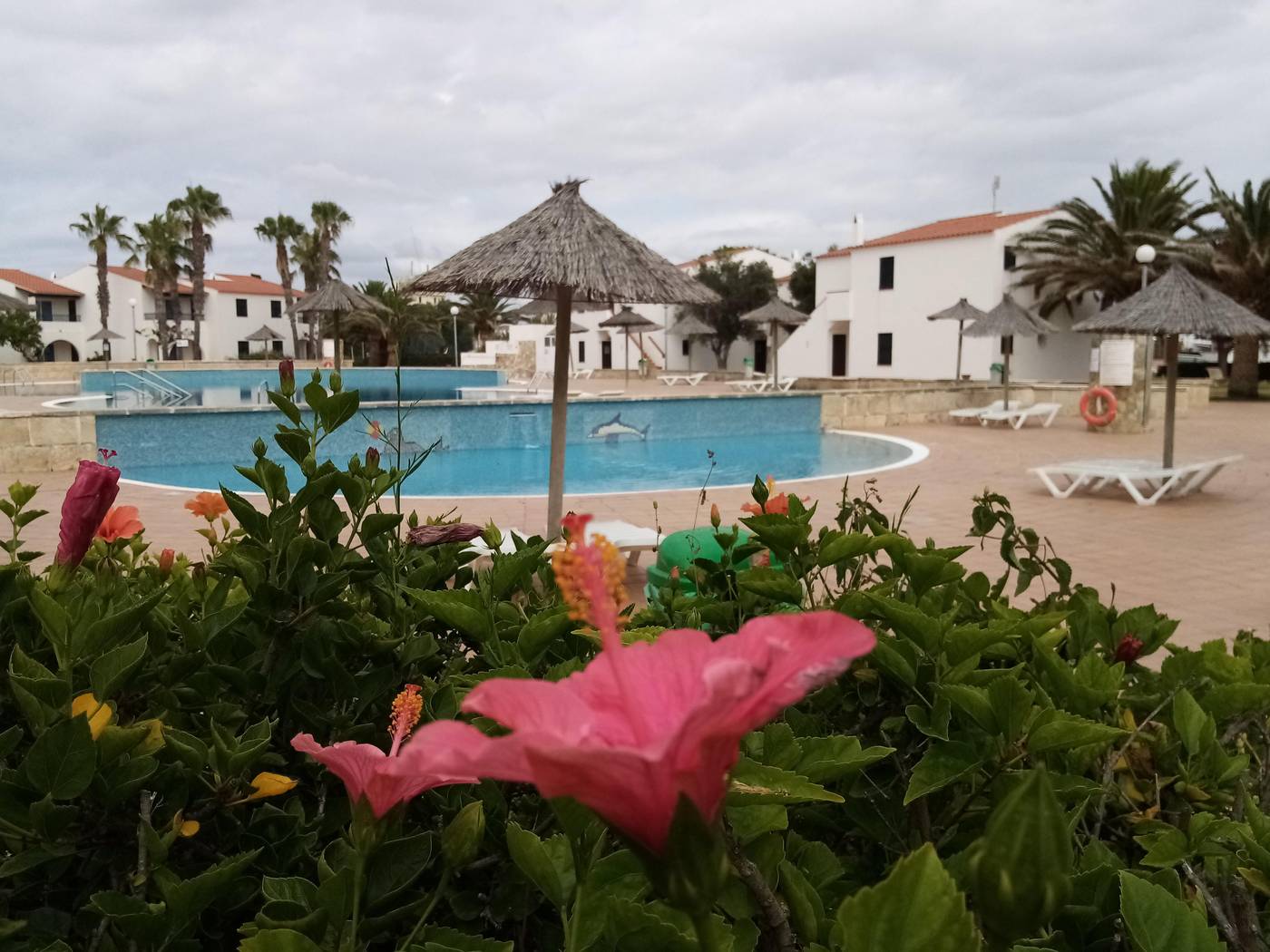 Vista-Picas-General-view-8