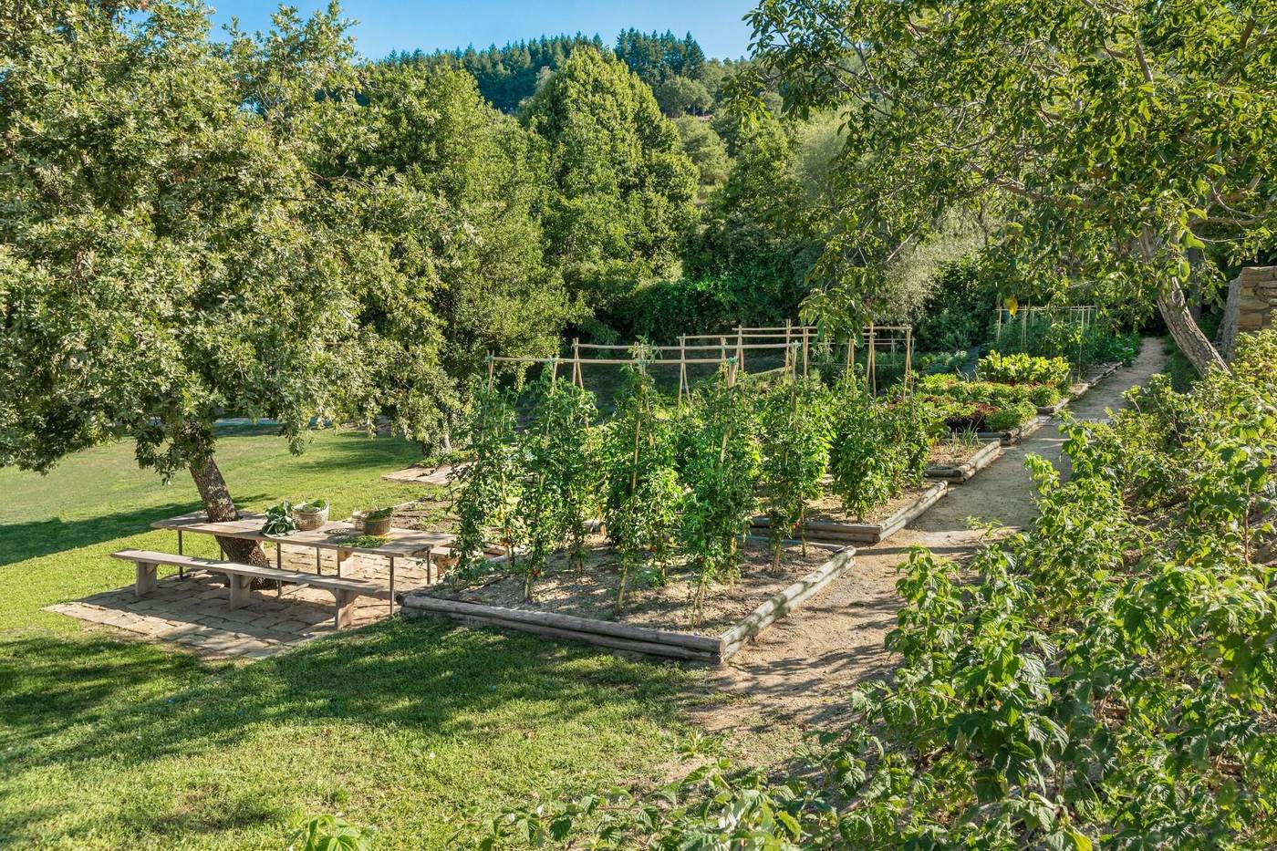 Badia-Di-Pomaio-General-view-10