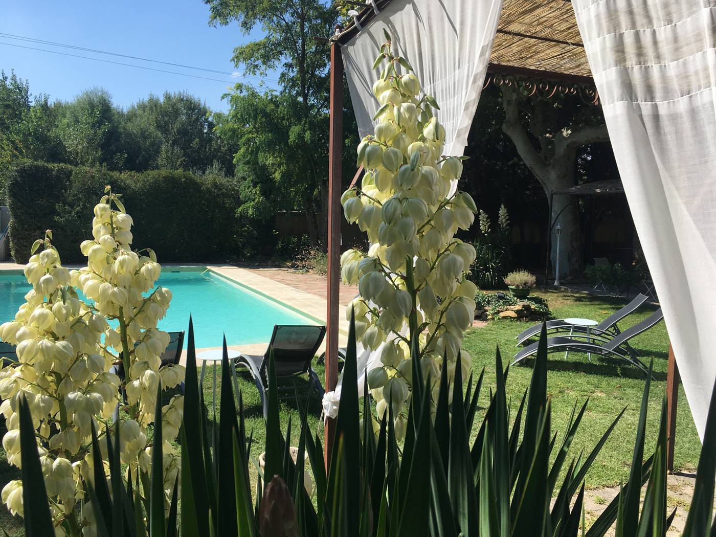 La Sommellerie Logis de France-France-CHATEAUNEUF DU PAPE-Pool-10