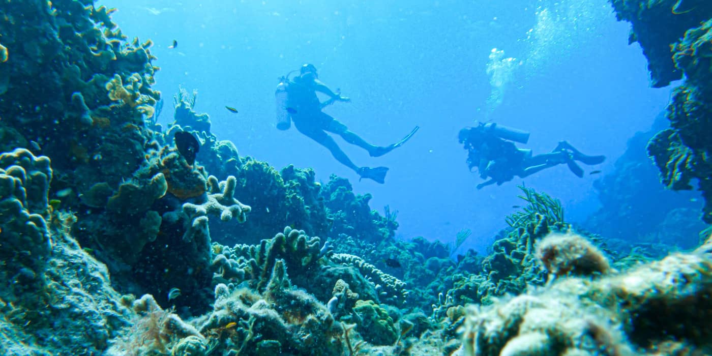 Occidental-Cozumel-Sports-and-Entertainment-61