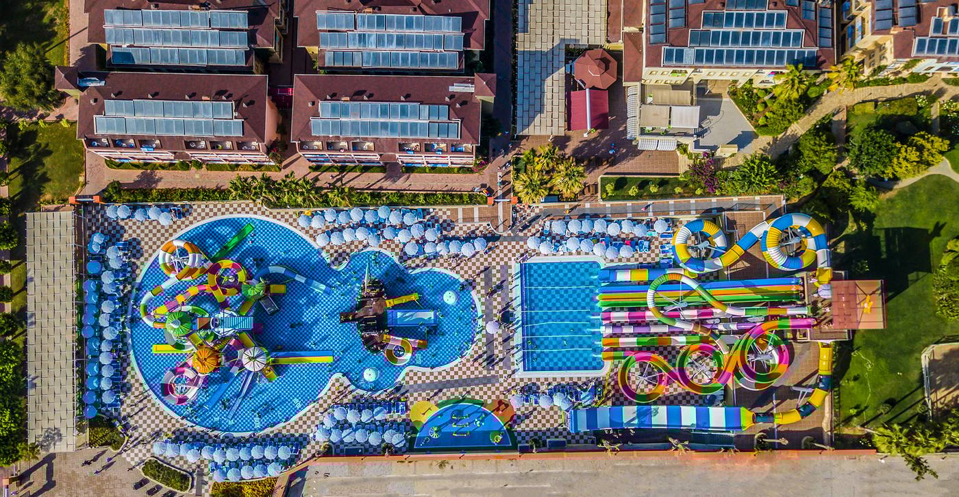 Lonicera--World-Pool-14