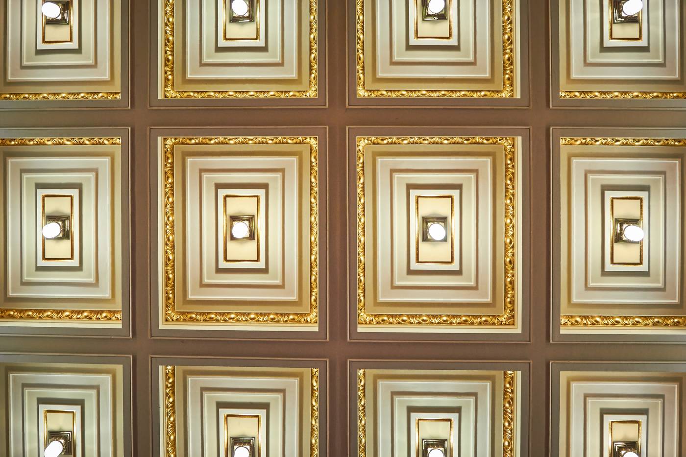 Ambassador-Zlat-----Husa-Conferences-56