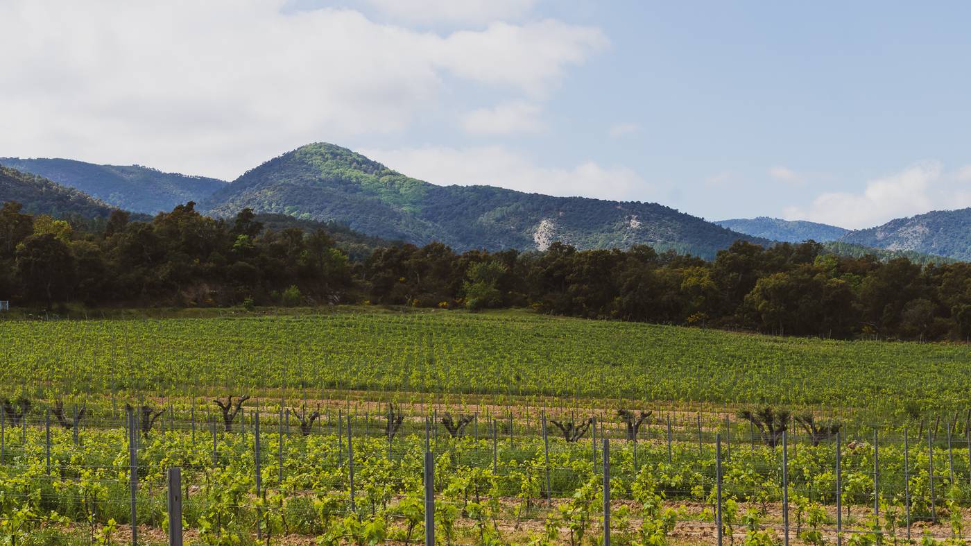 Provence-Ultimate-General-view-8