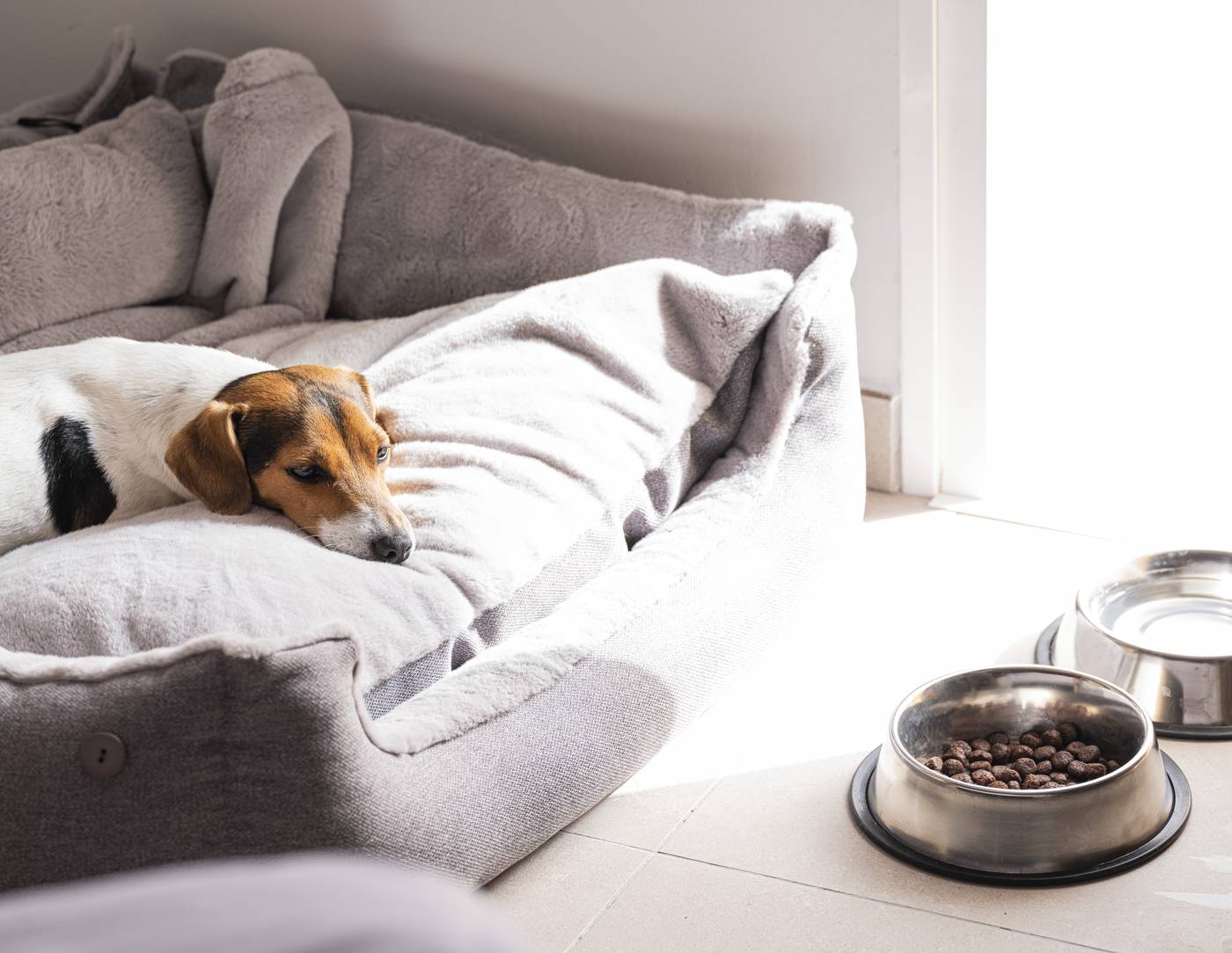 Sholeo-Lodges-Los-Gigantes---Adults-Recommended-General-view-46