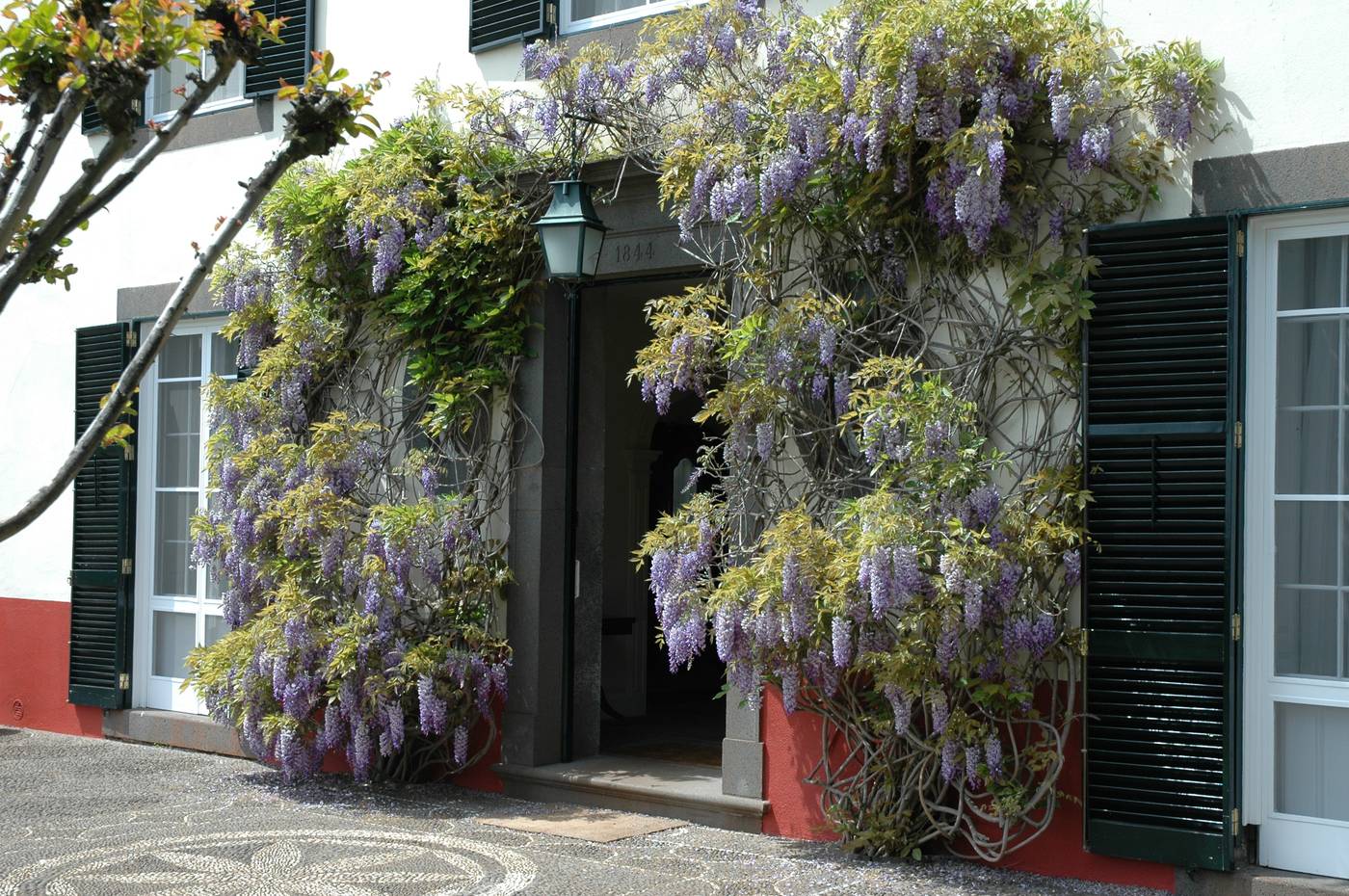 Quinta-da-Bela-Vista-Lobby-17