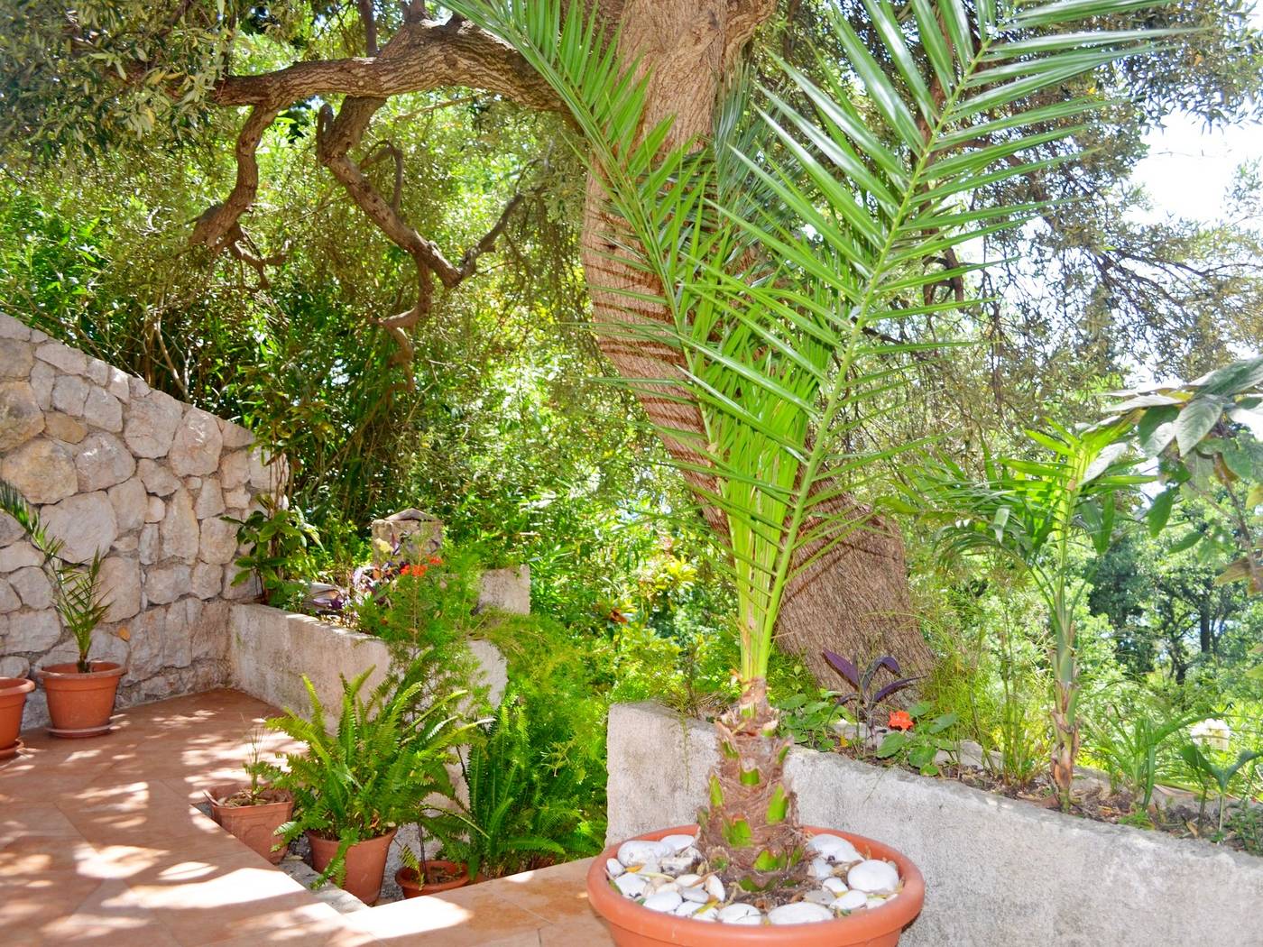 Apartments-Martiva-Lobby-3